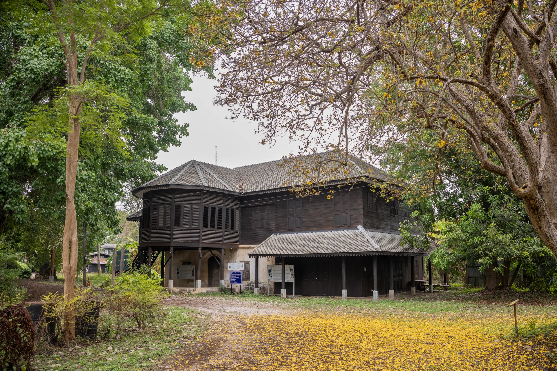 Gallery 1