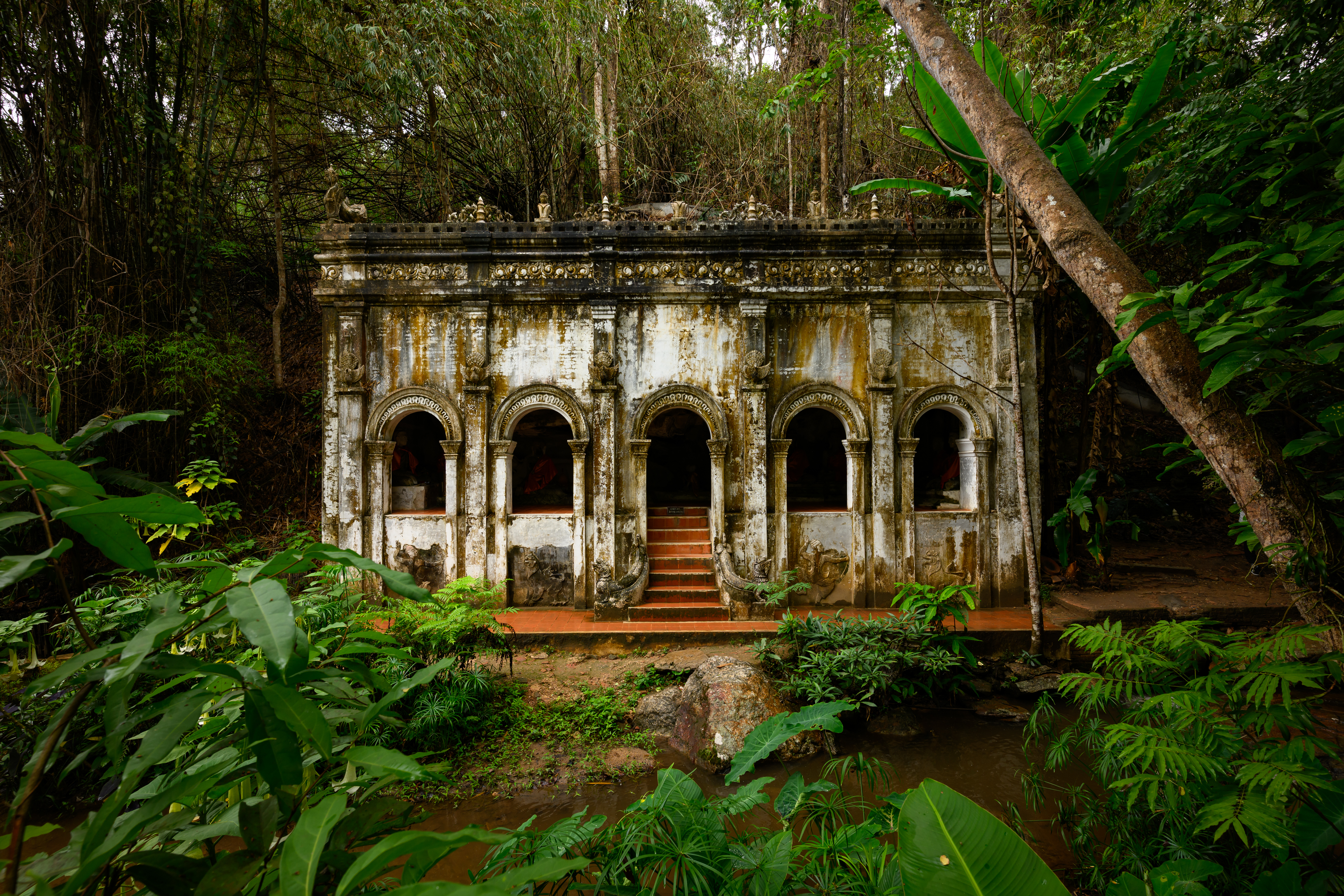 Gallery 1
