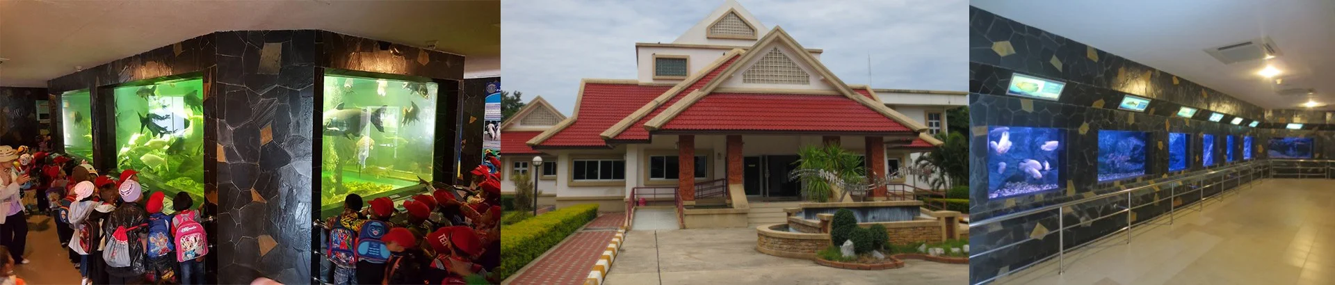 สถานแสดงพันธุ์สัตว์น้ำ เขื่อนป่าสักชลสิทธิ์