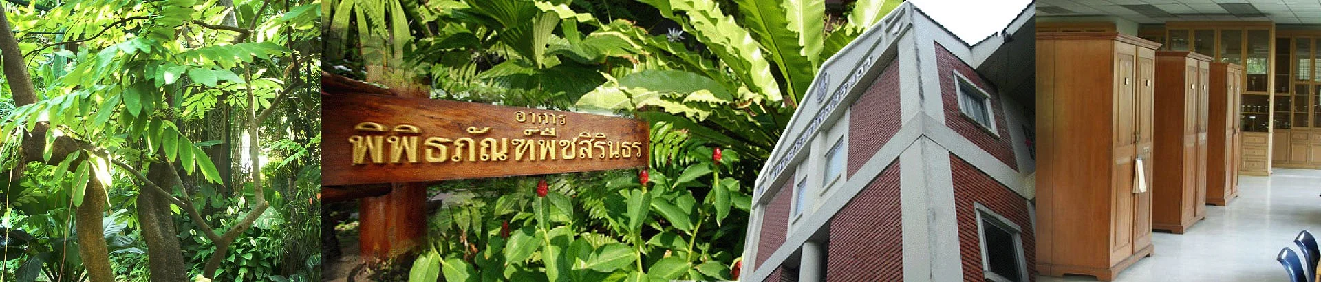 พิพิธภัณฑ์พืชสิรินธร