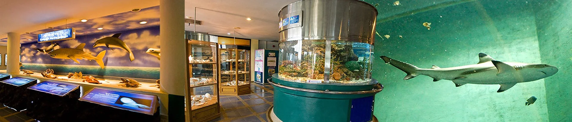 สถานแสดงพันธุ์สัตว์น้ำระยอง