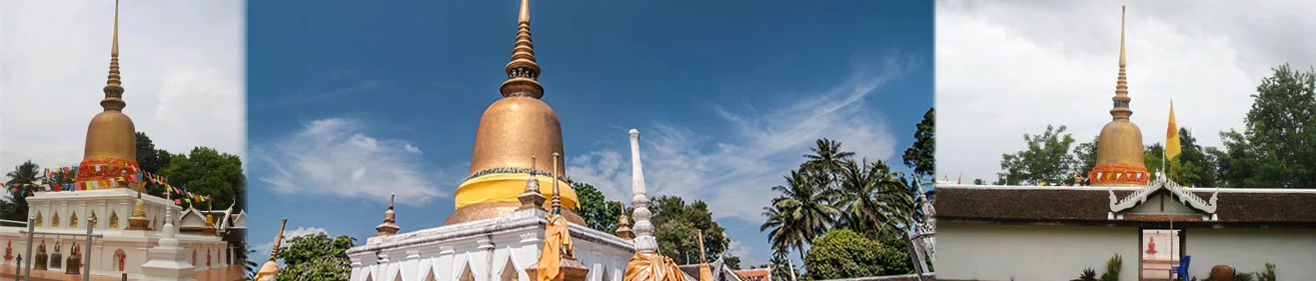 พิพิธภัณฑ์วัดพระธาตุสวี
