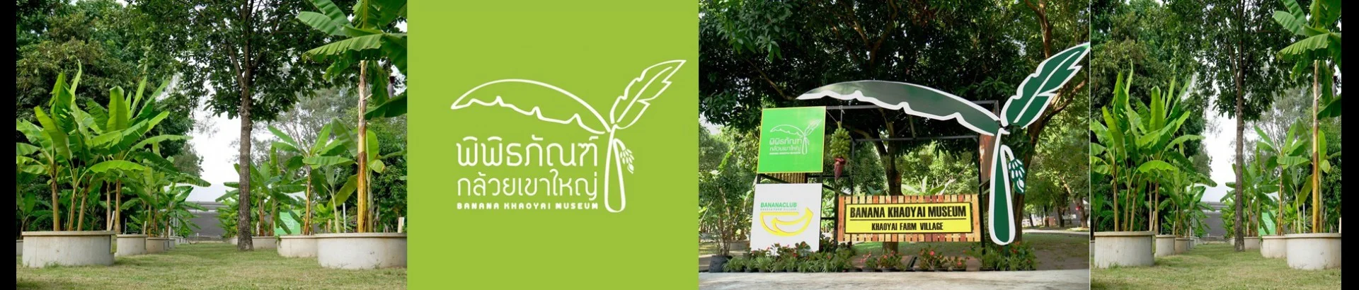 พิพิธภัณฑ์กล้วยเขาใหญ่ - Image 1