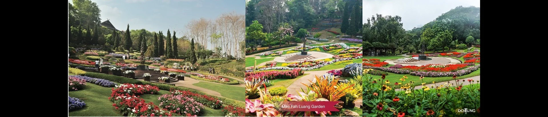 สวนแม่ฟ้าหลวง